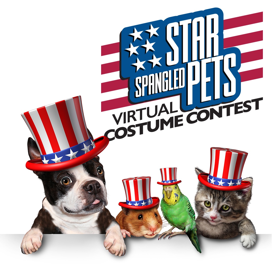 Star Spangled Pet Costume Contest