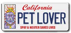 Pet Lover Plate