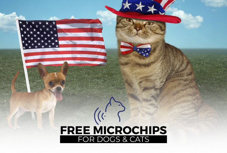 Free Microchip Clinc