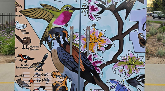 Utility box wrap with the birds of California