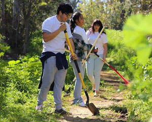 Community Day of Service