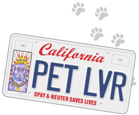 California Pet Lovers Spay and Neuter License Plate Saves Lifes
